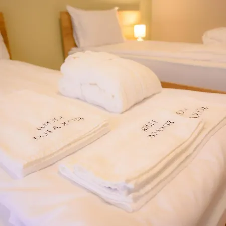 влахов بيت ضيافة ساباريفا بانيا